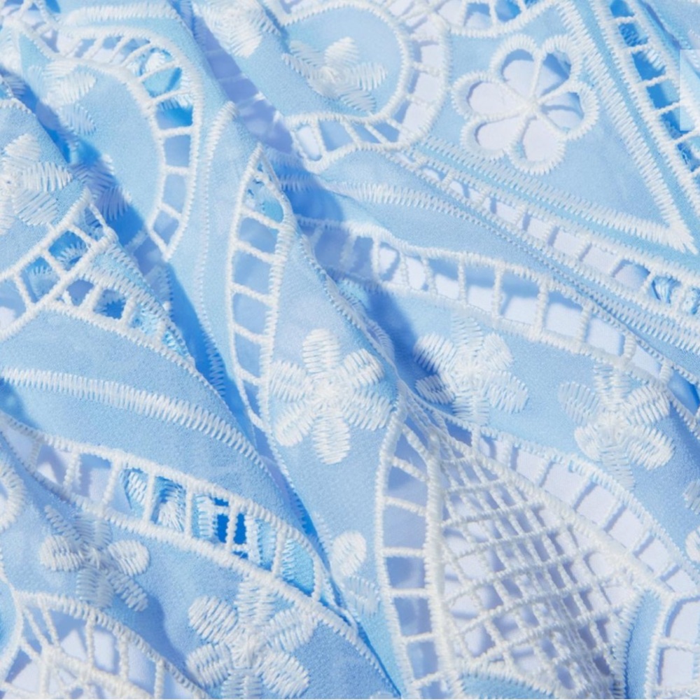 Two Tone Lace Flounce Dress - Picture 4 of 4